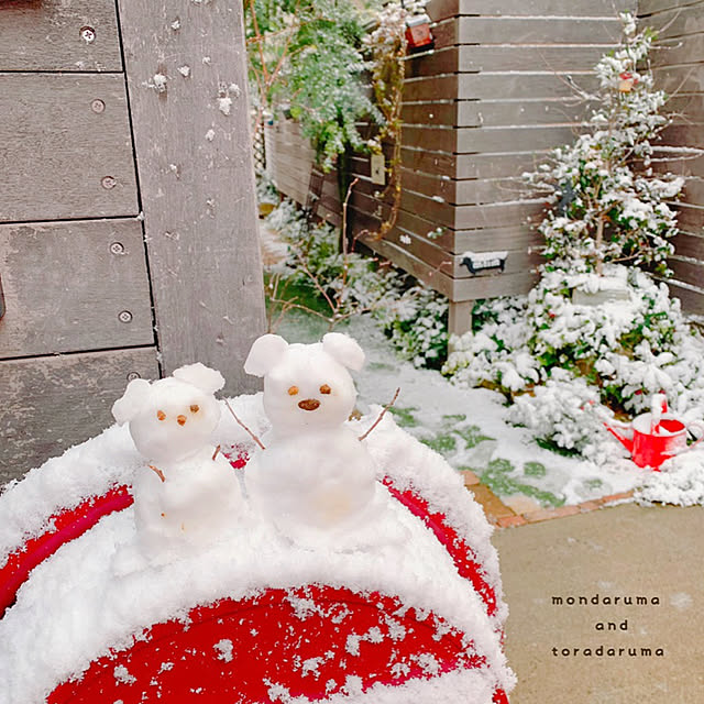 risaさんの実例写真