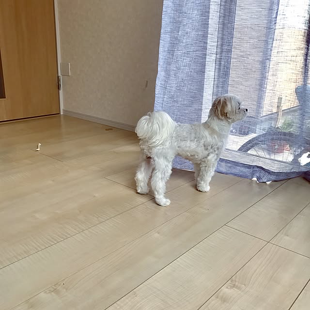 Ayakoさんの実例写真