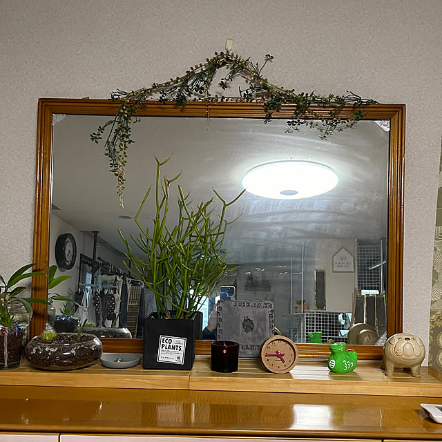 kikiさんの部屋