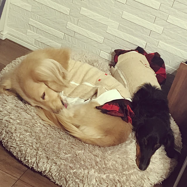 acoさんの実例写真