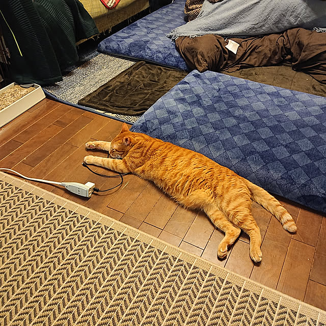 okyosan101さんの実例写真