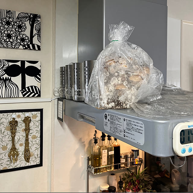 yukarin-gardenさんの部屋