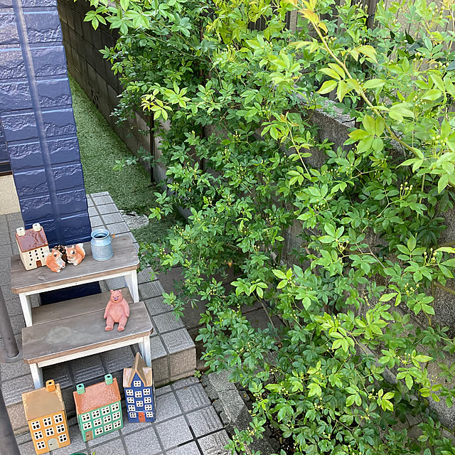 FUJICOさんの実例写真