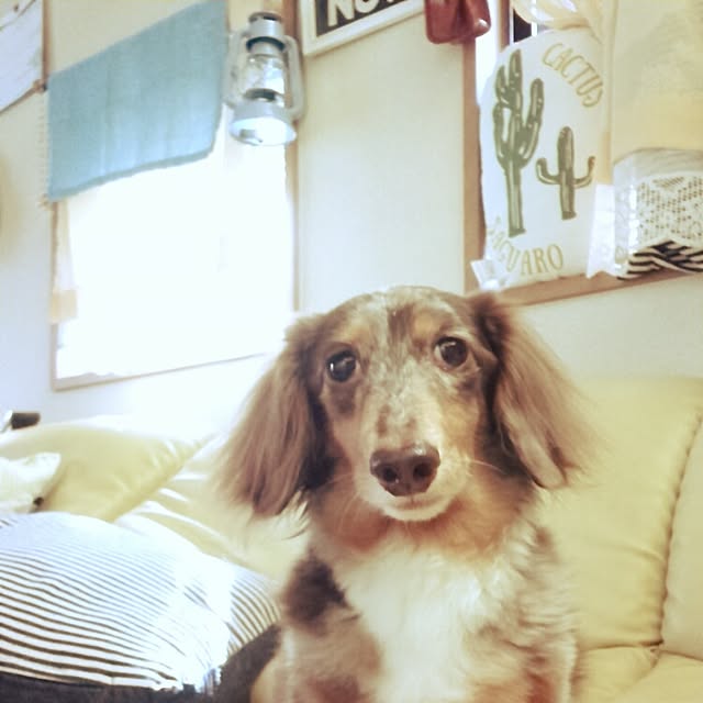 T.Sさんの実例写真