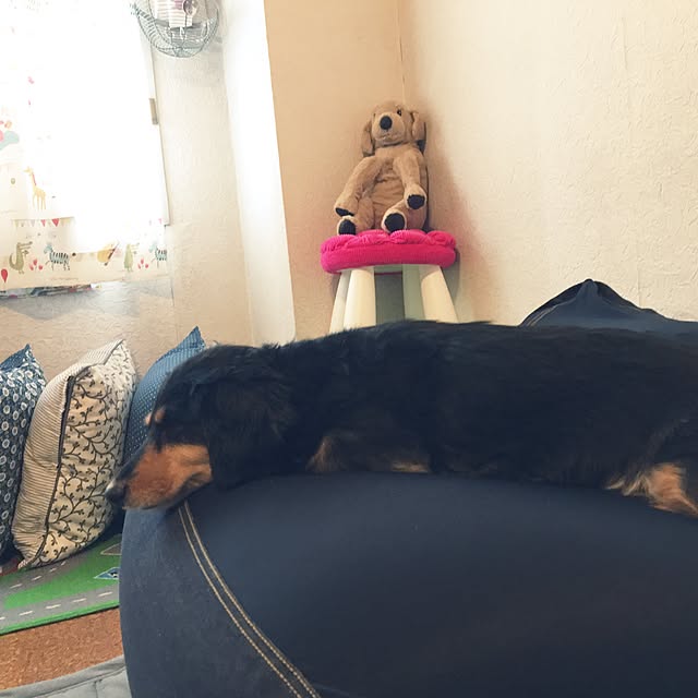 ohanaさんの実例写真