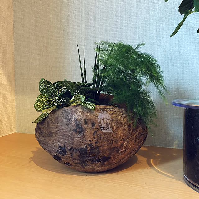 ajysさんの実例写真