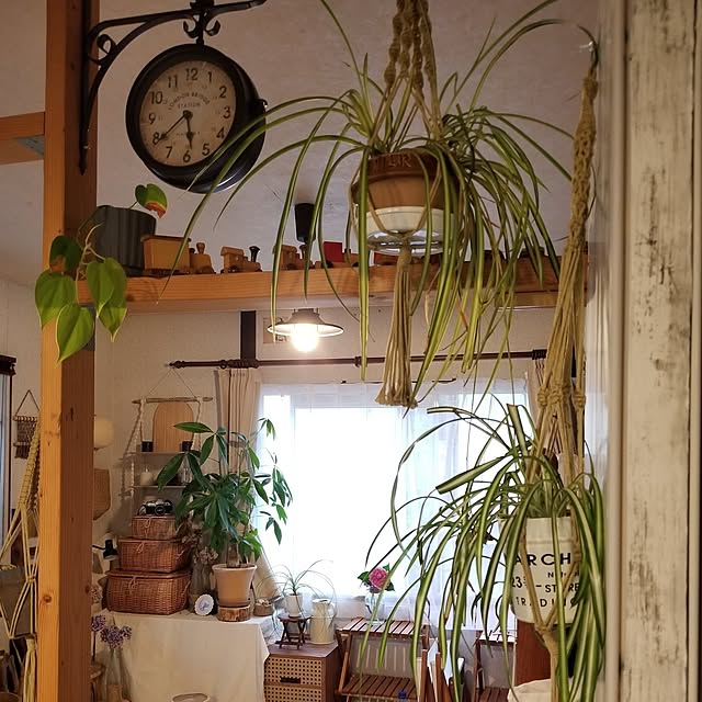midoriさんの実例写真