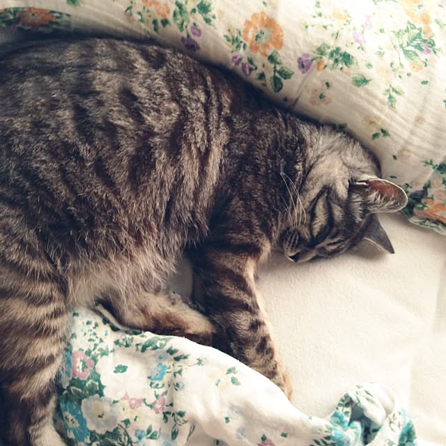 18さんの実例写真