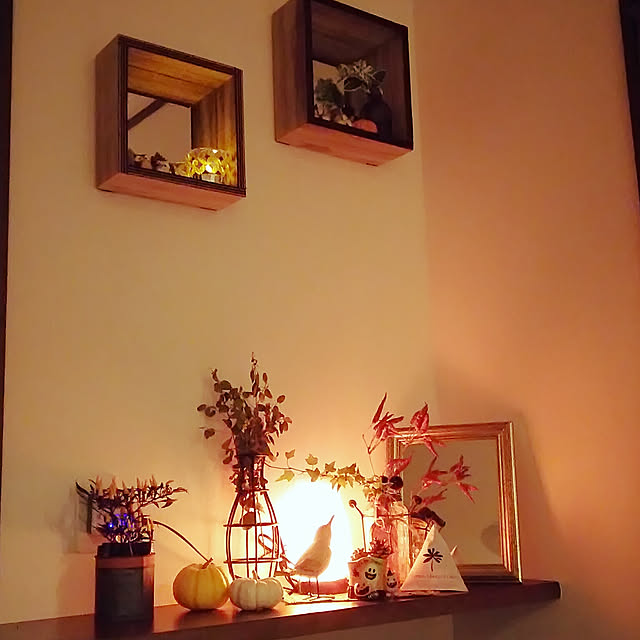 daiamondoさんの実例写真