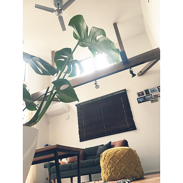 Evezhouseさんの実例写真