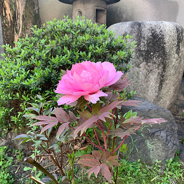 keiさんの実例写真