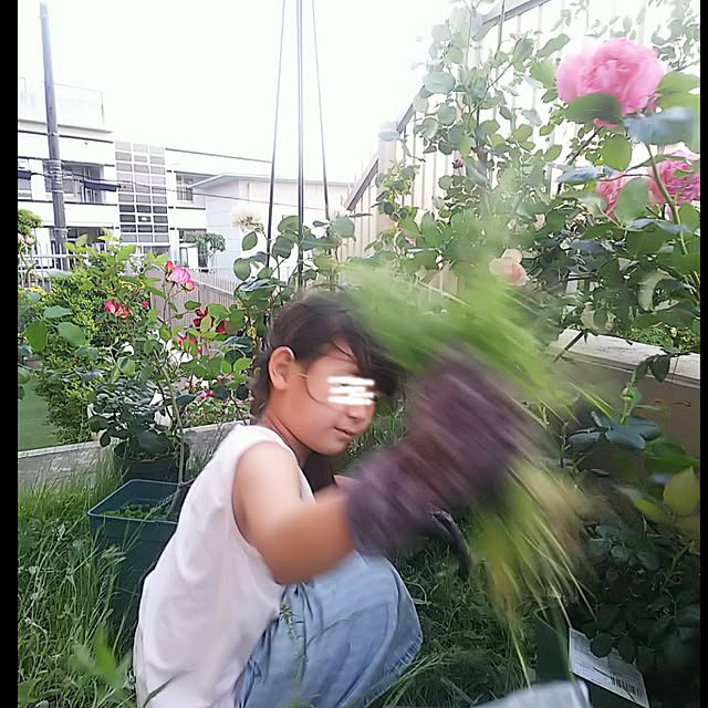 hiromimiさんの実例写真