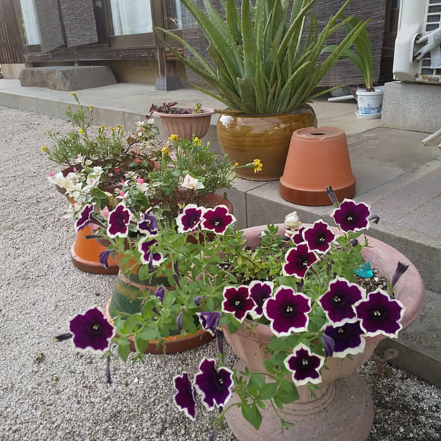 mariさんの実例写真