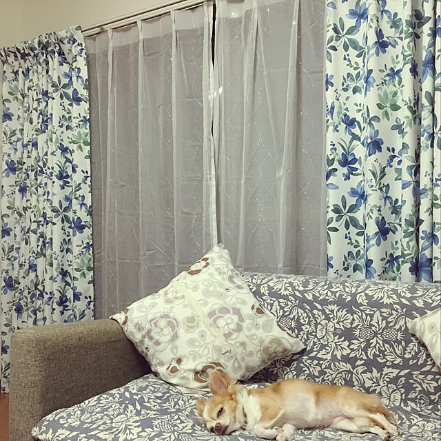 sachifukuさんの実例写真