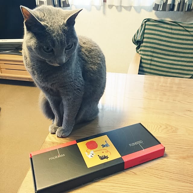 kosame918さんの実例写真