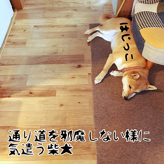 okadajapanさんの実例写真