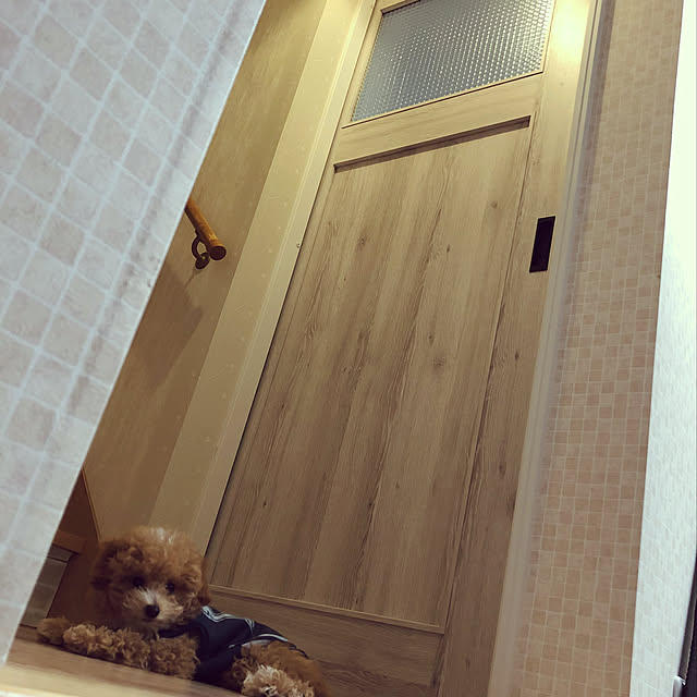 honohonoさんの実例写真