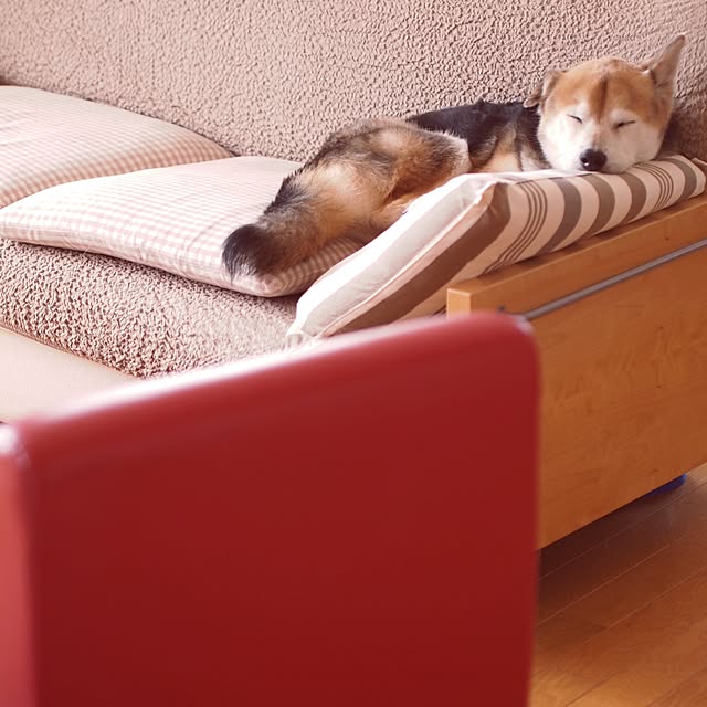 tomomi_kuranさんの実例写真
