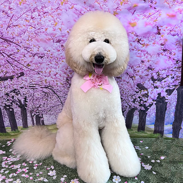 nackeyさんの実例写真