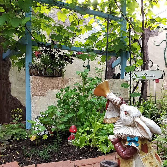 Rudyさんの実例写真