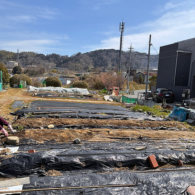 ayayayayaさんの実例写真