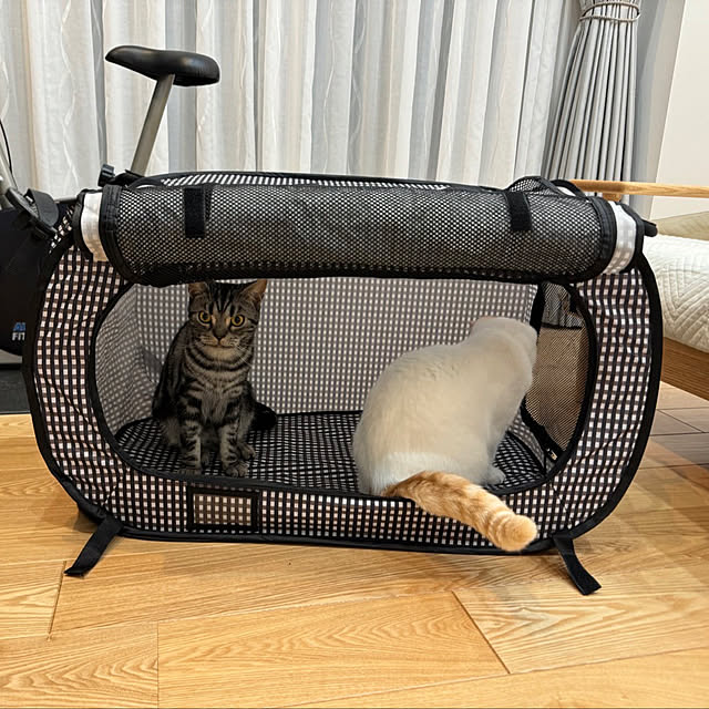 yumiさんの部屋