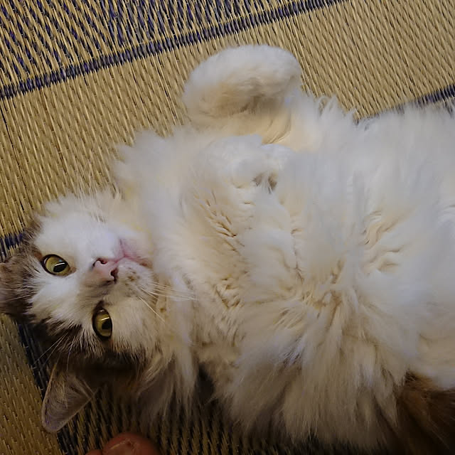 Hidekiさんの実例写真