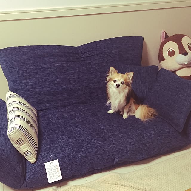 haruさんの実例写真