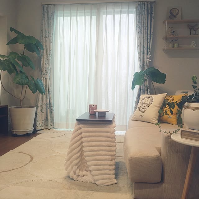 tan5さんの部屋