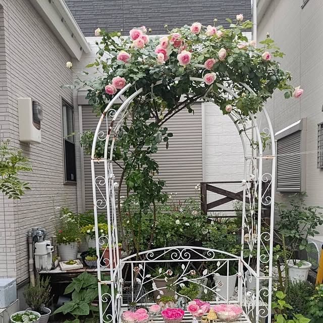 aiさんの部屋