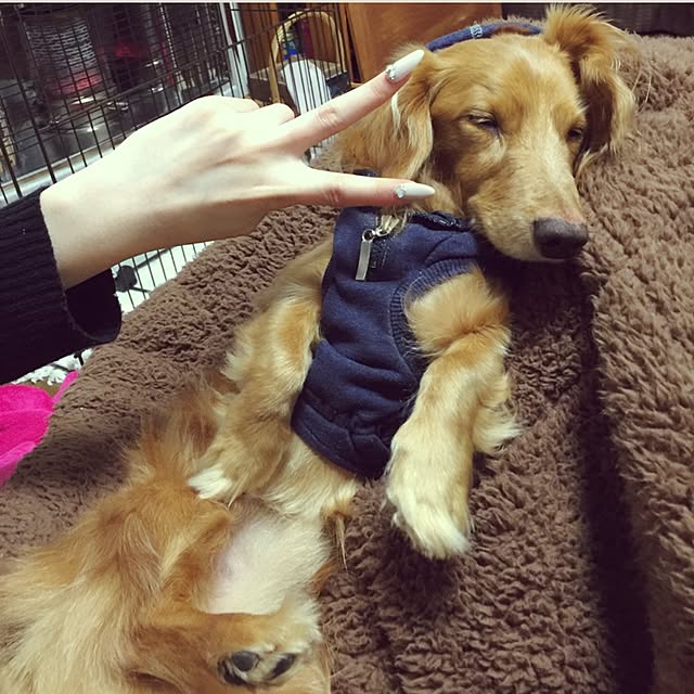 ram_mamaさんの実例写真