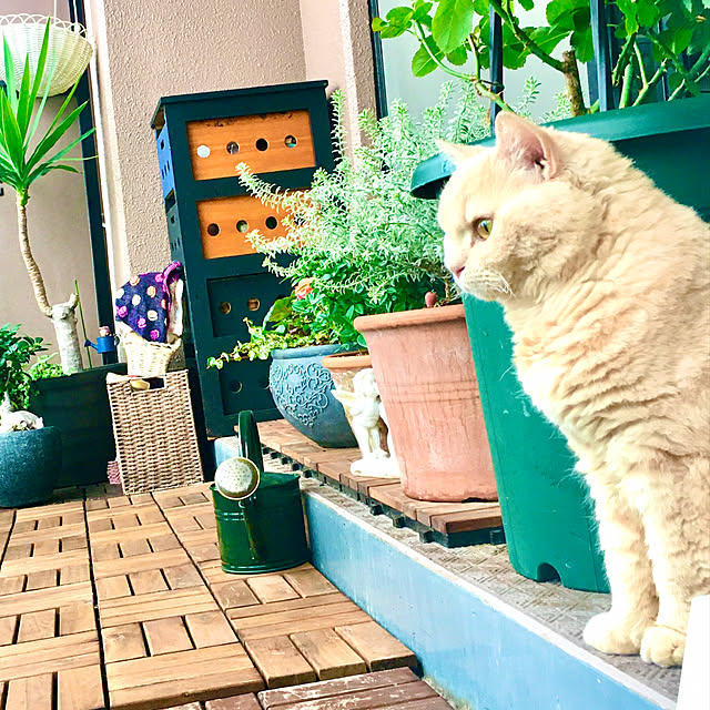 naokoさんの部屋