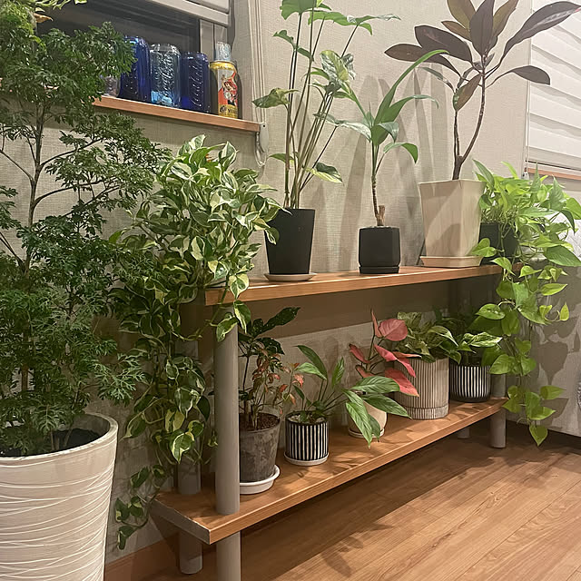 ikuzakさんの部屋