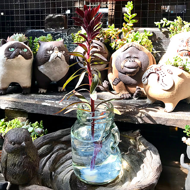 butachanさんの実例写真