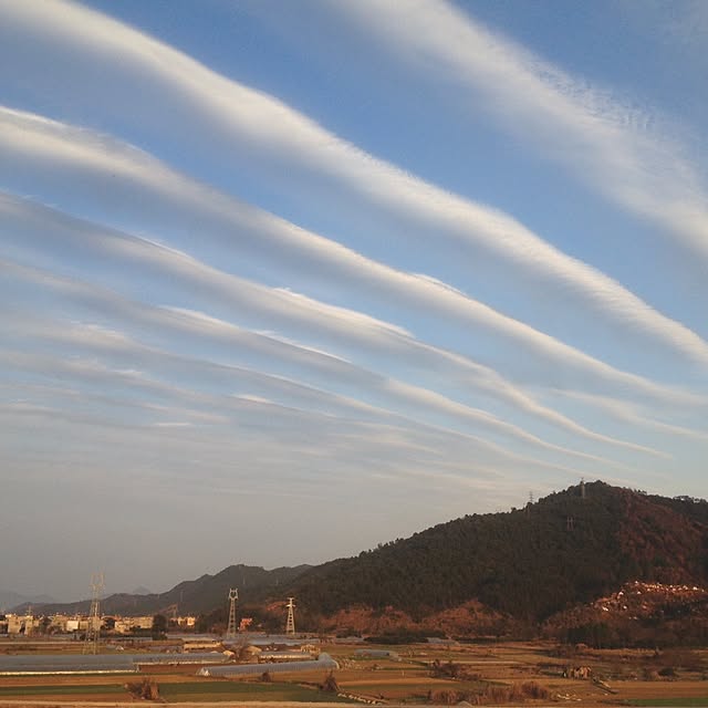 実例写真