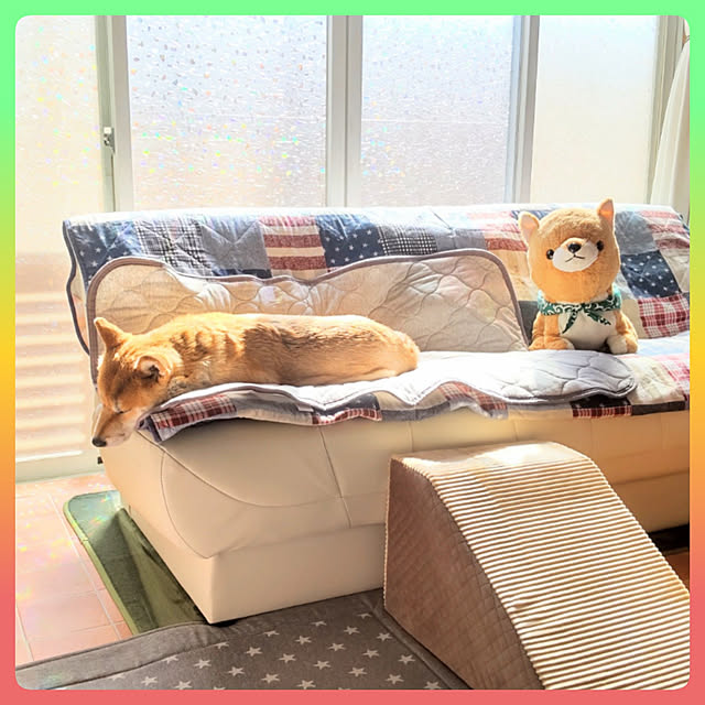nanaさんの実例写真