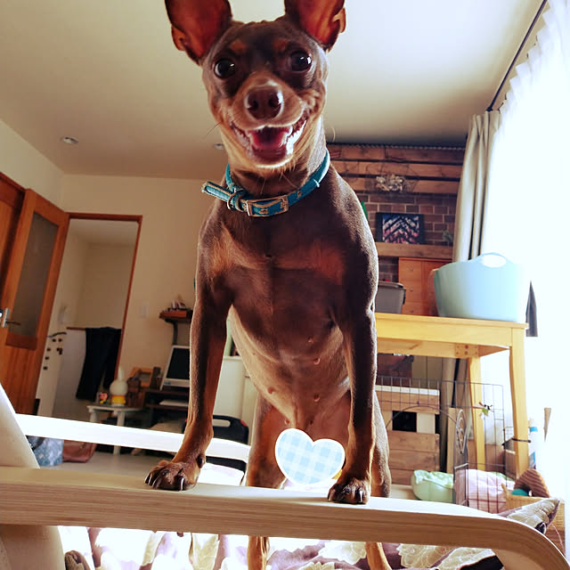 chocoさんの実例写真