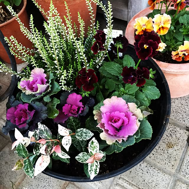 kimkimさんの実例写真