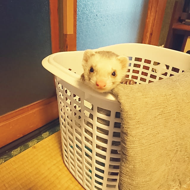 keiさんの実例写真