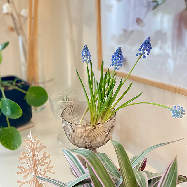 Hisayoさんの部屋