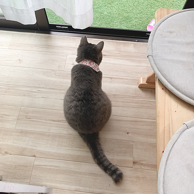 Yukiさんの実例写真