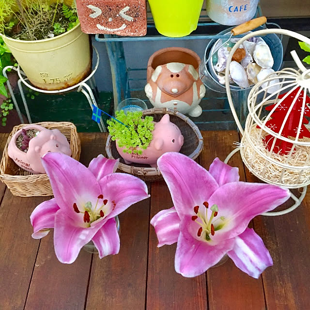 takakoさんの実例写真