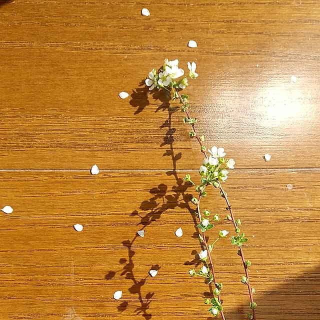 Rさんの部屋