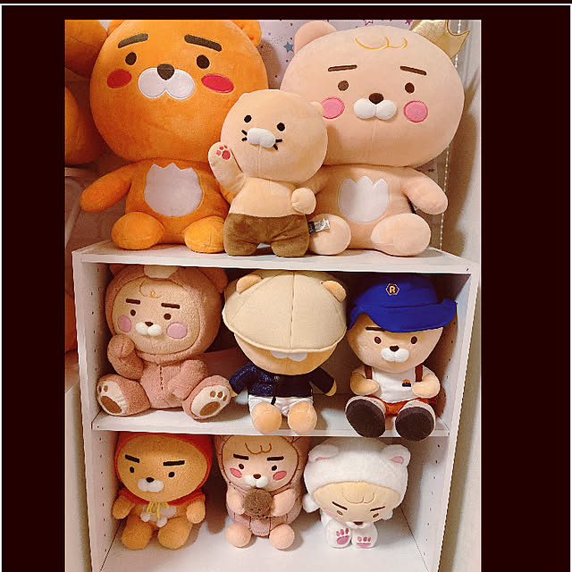 Sayaryanさんの実例写真