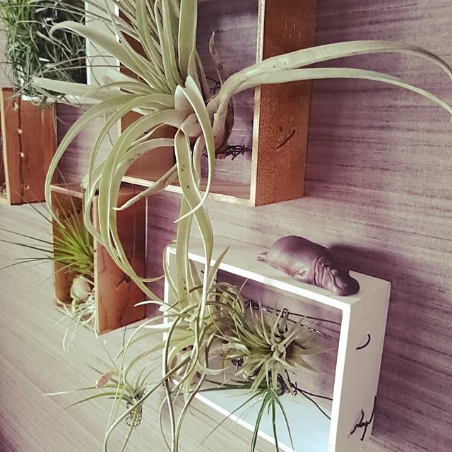 Rieさんの実例写真