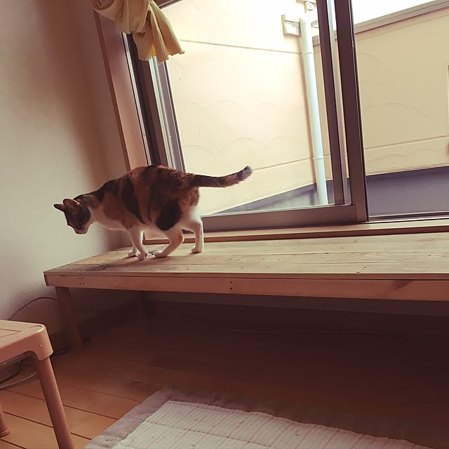 penginmikiさんの実例写真