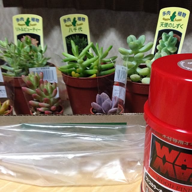 MIKAさんの実例写真