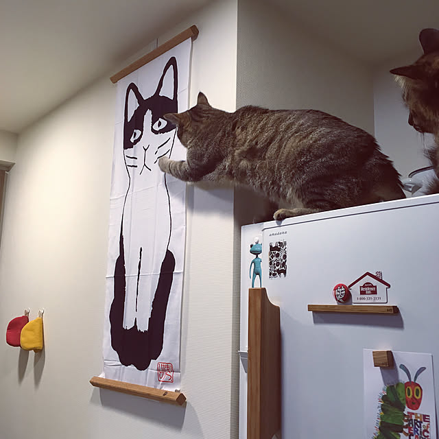 mikomaruさんの実例写真