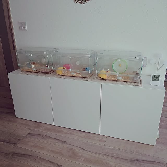 hanakusukuさんの実例写真