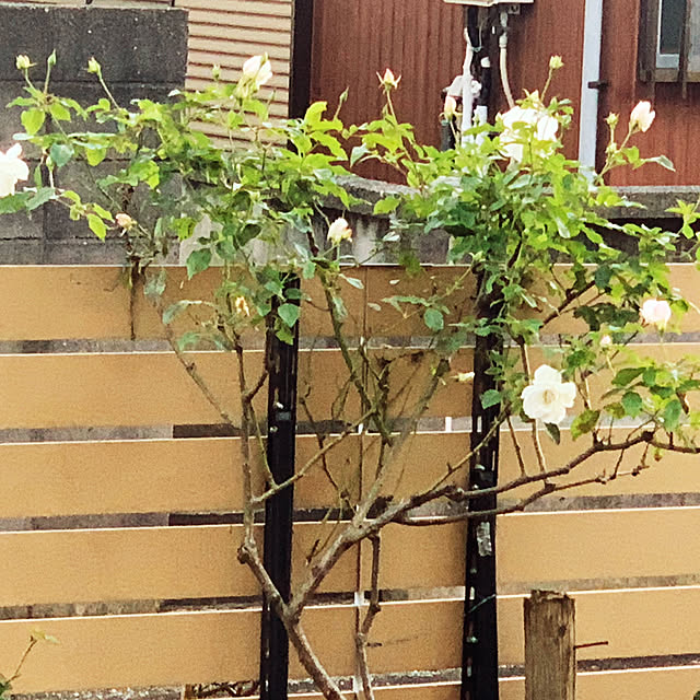 KYONさんの部屋